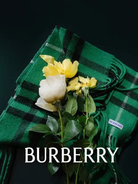 cheap burberry|cheapest thing at burberry.